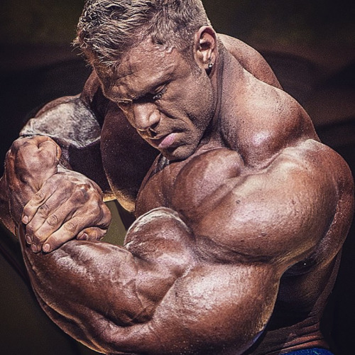 Musclemechanic