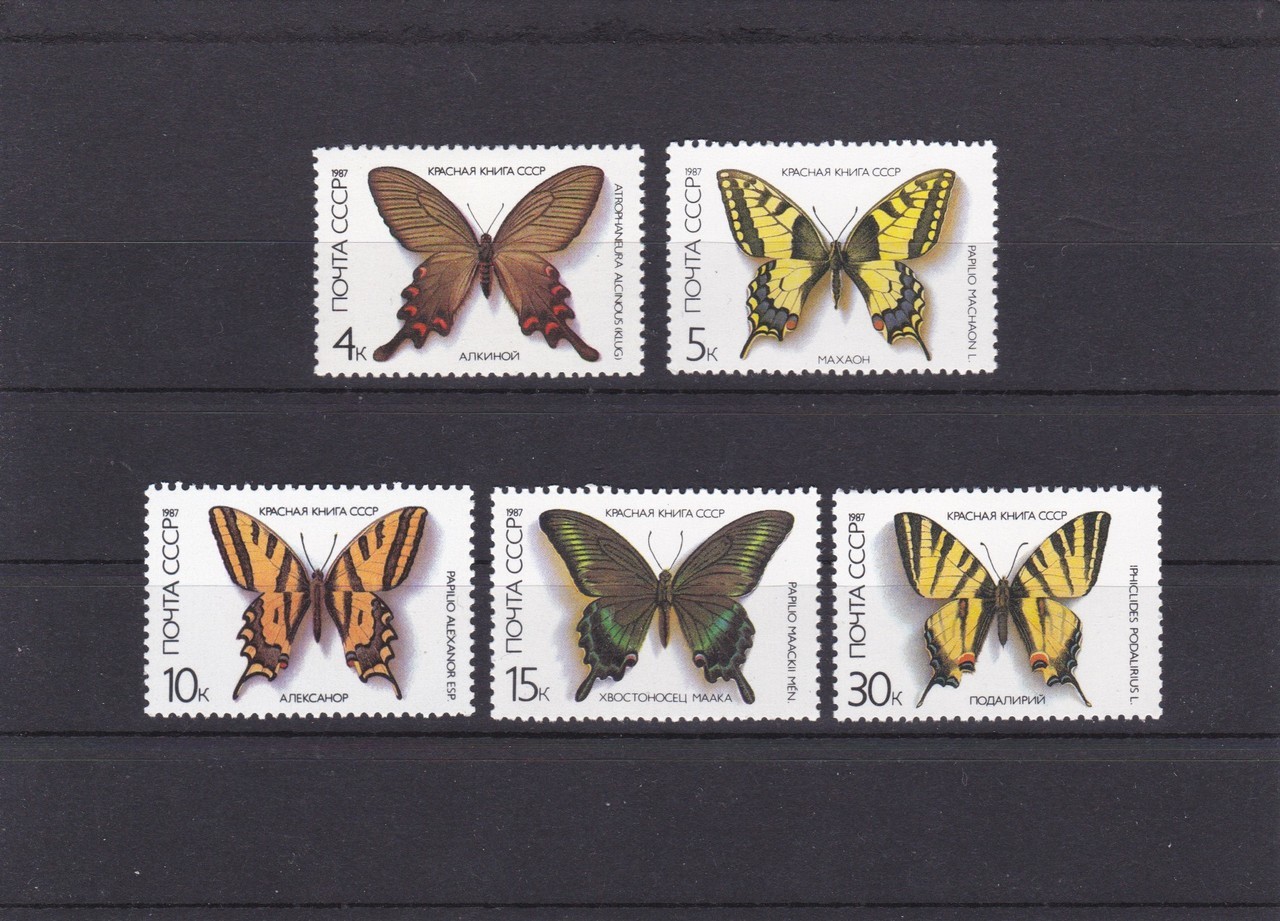 Endangered butterflies of Soviet Union, vintage stamps (1987)