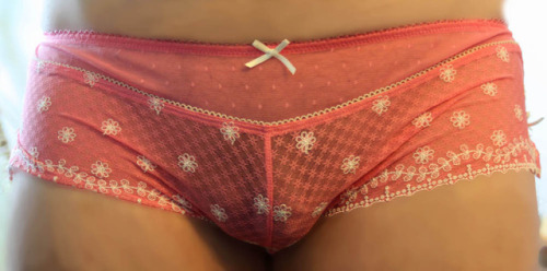 Cute sheer panties from Affinitas!