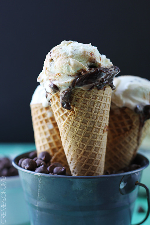 do-not-touch-my-food:  Hot Fudge Mint Chocolate Chip Ice Cream 