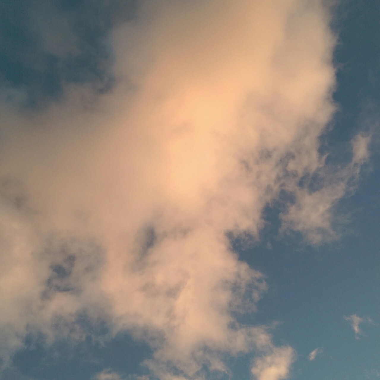 berryrot: pretty sky on November 19th