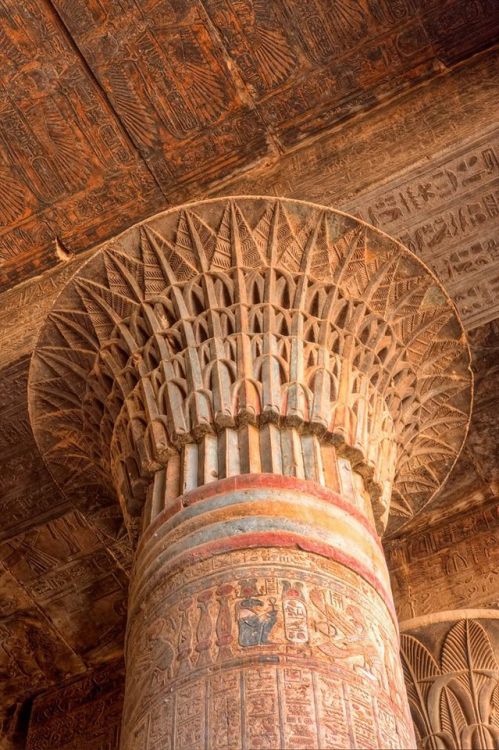 grandegyptianmuseum:Capital of a large column, detail, Temple of Khnum, Esna.