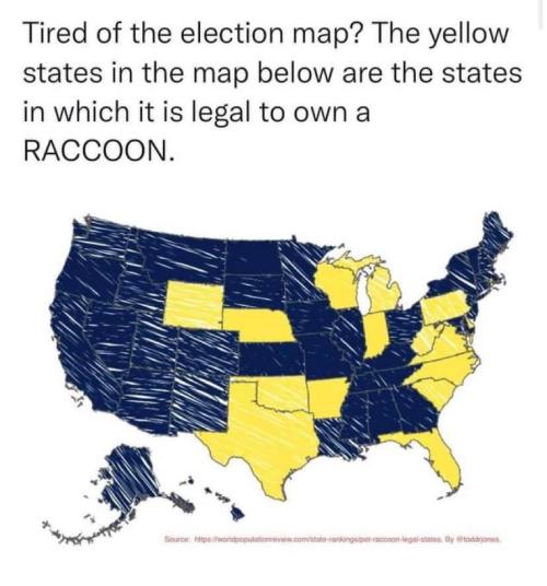 mapsontheweb:  US states where it’s legal to own a racoon