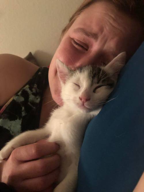 Girlfriend is overwhelmed by love for her first kitten (Source)