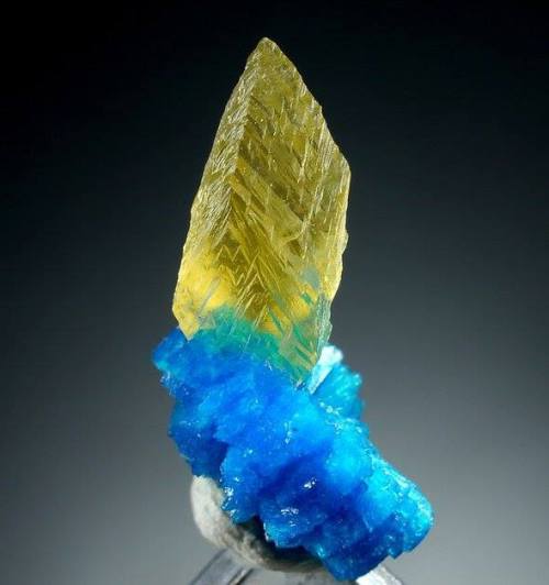 Cavansite and calciteThese stunning blues are deposited in cavities within basaltic and andesitic la