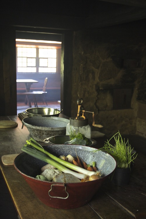plumperquatsch:  essential ingredients for a soup by Andi Gebhardt