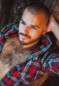 Hairy Men Heaven