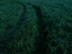 the-stoic:I couldn’t get sleep last night so just before four i walked through soggy fields and up to the rocks to find a good place to stay and watched the sunrise.