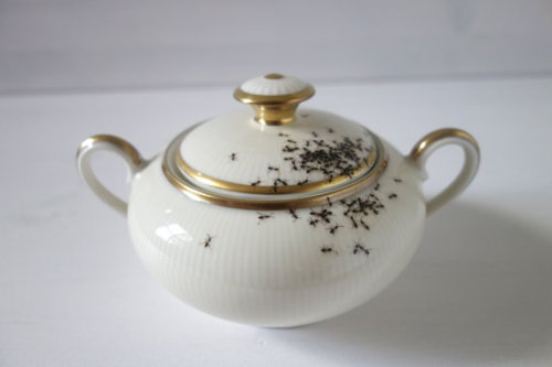 excessunrated: jollymermaid: whimsebox: Vintage porcelain hand-painted with ants by LAPHILIE  N