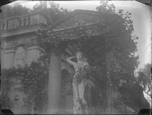 feuille-d-automne:  Détail de la statue d'Apollon dans les jardins de la villa Médicis , 1891 . Photo: Hébert d'Uckermann, Gabrielle . Source : Musée Hébert © Conseil général de l’Isère