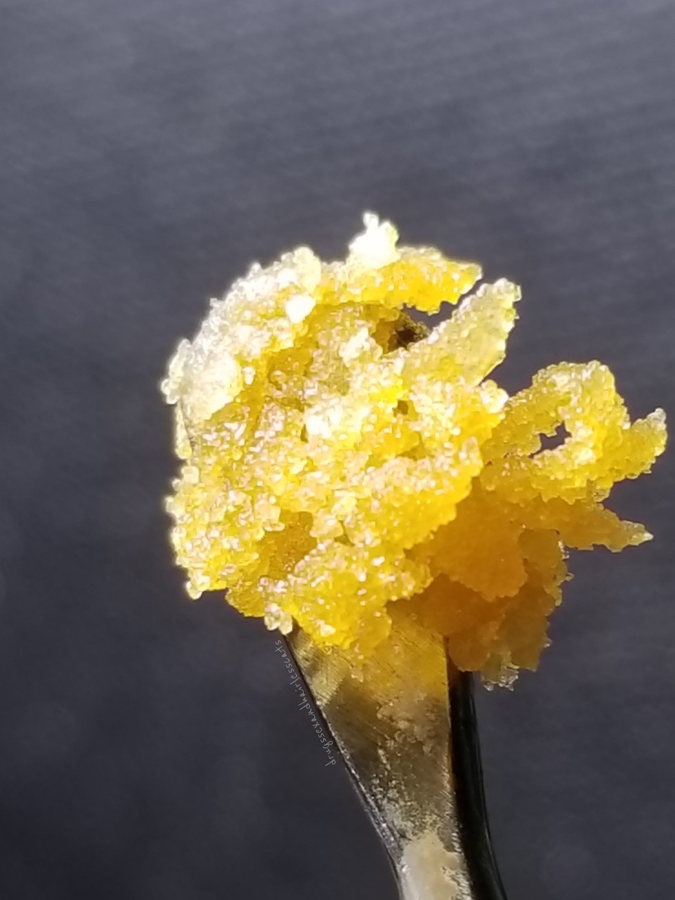 drugssexandhairlesscats:   Cookie Breath crumble🍪 