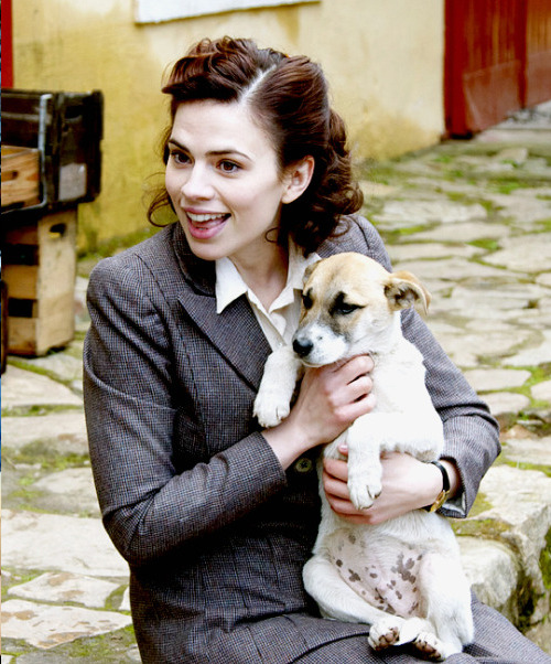 caleysteggy: peggiecarter: Hayley Atwell + puppies Let me add some cuteness Very important post feat