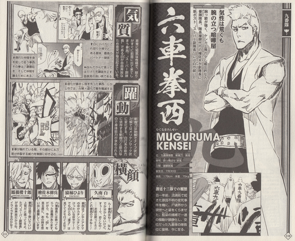 Sword Safety Specialist 9th Division Pages From Bleach 13 Blades And My