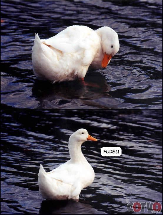 coisas-do-bob:  Rock&amp;Humor