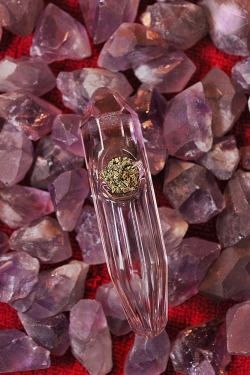 thepinkcrystal:  thc crystals in glass crystal