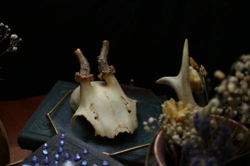 Rainbow moonstone and tanzanite still life by @90377Instagram | Etsy shop