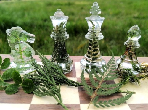 writerbotanistnerd:kintatsujo:ladytemeraire: sosuperawesome: Botanical Resin Chess SetsEncasing Natu
