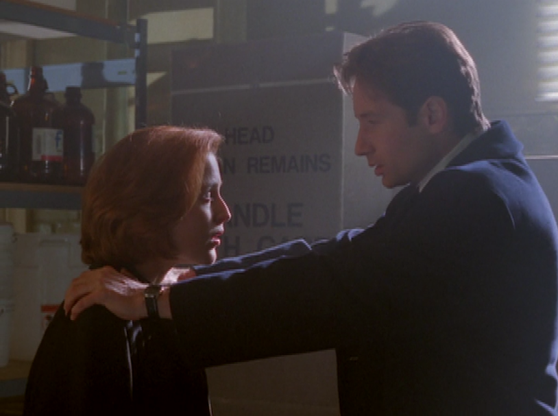 The signs as our favorite out-of-context x-files screen-caps.
