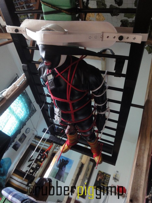 wrappedtightsr:gummigimp:upside down bondage rack This is very HOT! Want to try this soon…