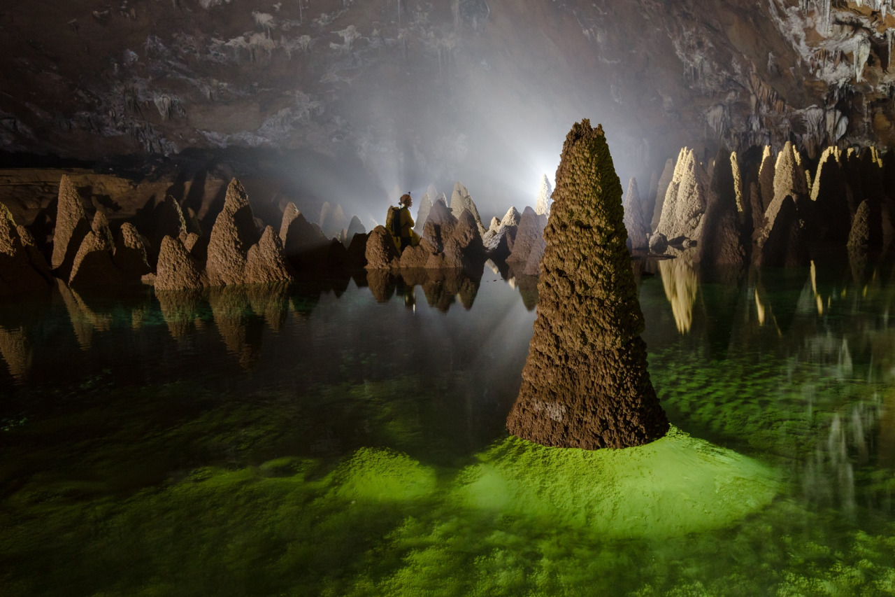 ponderation:  Watery Underworld by ryandeboodt 