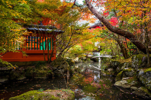 ileftmyheartintokyo:momiji ‘14 - autumn foliage #10 (Bisyamon-dou temple, Kyoto) by Marser on 