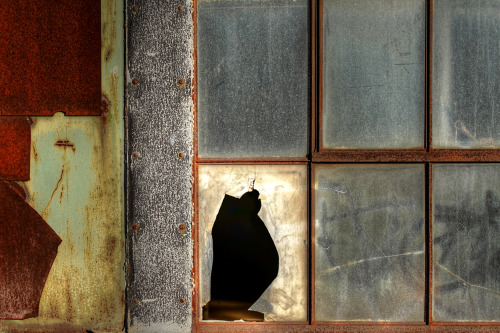 tomdent: Derelict Mondrian Window, No. 2   2012