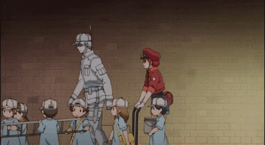 one of the Platelets hides cuz White Blood Cell-san is so ~scary~