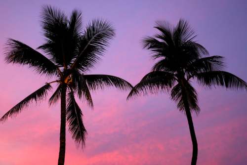 S P R I N K L E S O N L I P S ♡