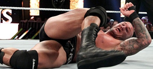 XXX wweass:  Trying out some new positions?  photo