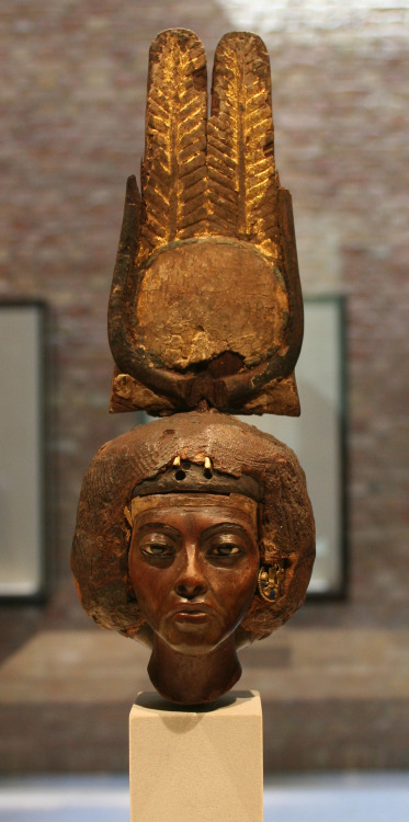 Fragmentary statue of Queen Tiye, 18th dynasty, c. 1355