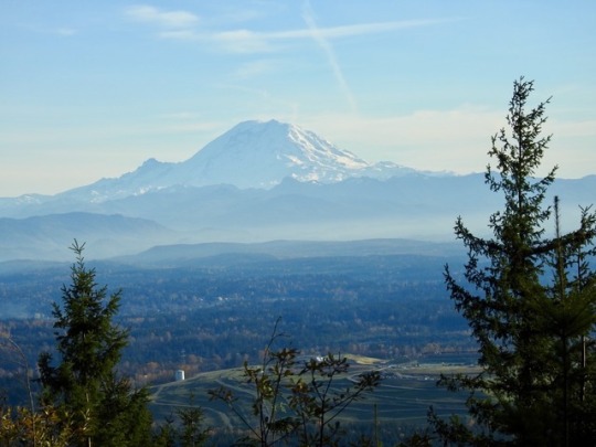 emphatic-nomadic:  Mt. Rainier as seen from Squak Mountain a few weeks ago