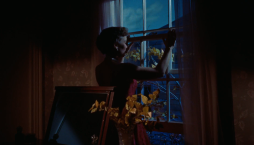 All That Heaven Allows (Douglas Sirk, 1955)