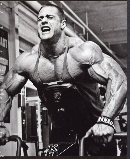 musclejake69:Evan Centopani