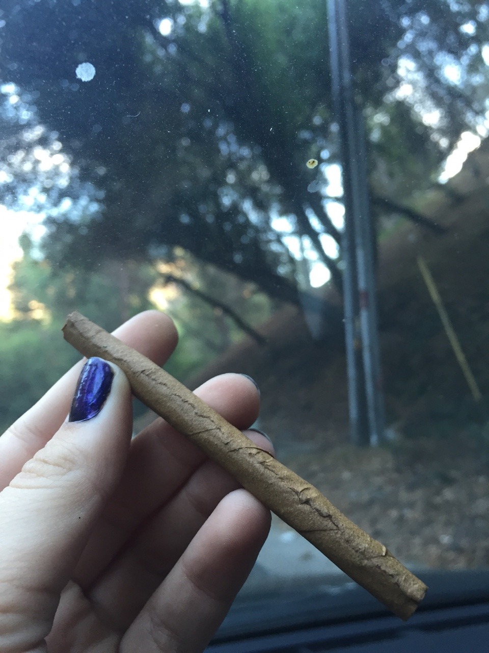 veraisastoner:  A blunt in the woods 😏