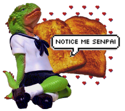 tranz-parents:  ♥transparent lizard love yearning for your blog♥