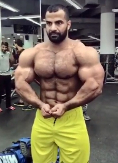 Ahmed Wardany