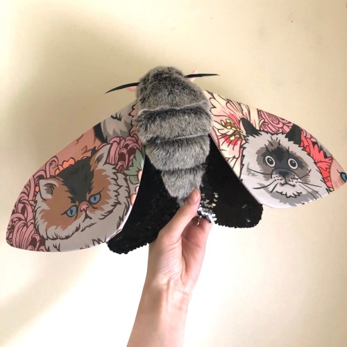 mother-entropy: cargopantsman: goopygoose: sosuperawesome: Moths and Bats Molly Burgess on Etsy @mot