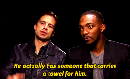 marveltbh:  Anthony Mackie &amp; Sebastian Stan + talking shit about Tom Holland