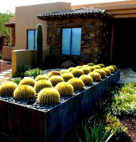 Landscape In PhoenixPhoto Of A Huge Southwestern Drought-tolerant And Full Sun Backyard Stone Landscaping
