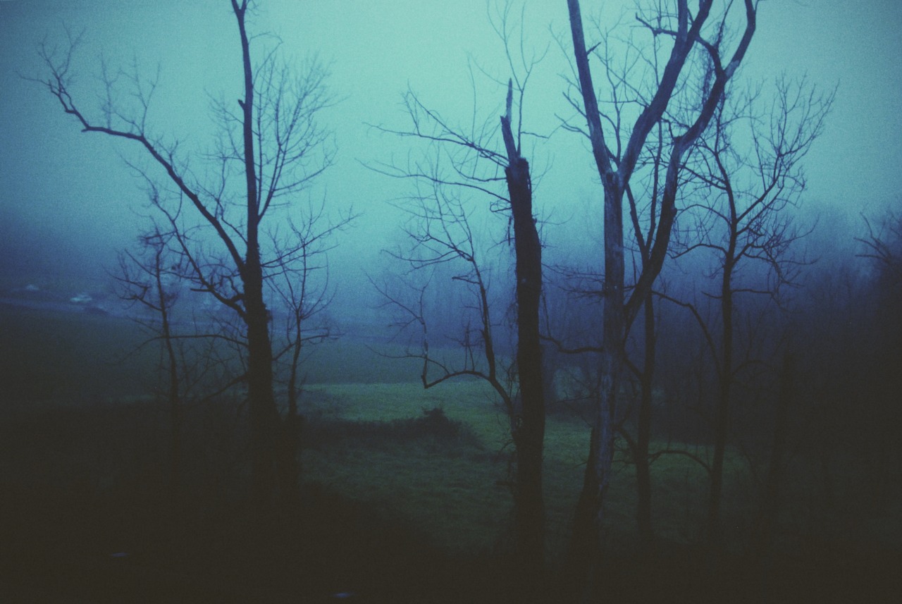 814stops: foggy towns somewhere between exton and doylestown, pa 2015 