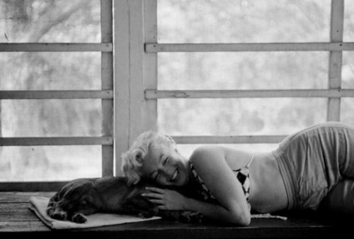 marilynmonroevideoarchives: Marilyn Monroe 1955