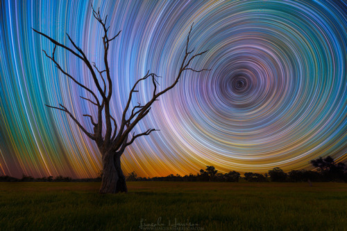 spinningblueball: Star Trails By Lincoln Harrison