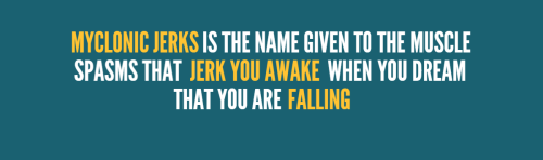 tobeagenius:Part one of the Psych2Go x To Be A Genius series focuses on sleep and dreams. Read more 