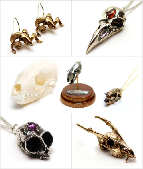 NEW KICKSTARTER COLLECTION!We’re back, and we’ve added NINE NEW SPECIES, plus NEW SKULL EARRINGS, an
