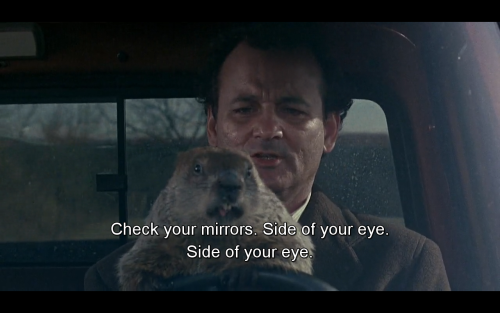 groundhog day