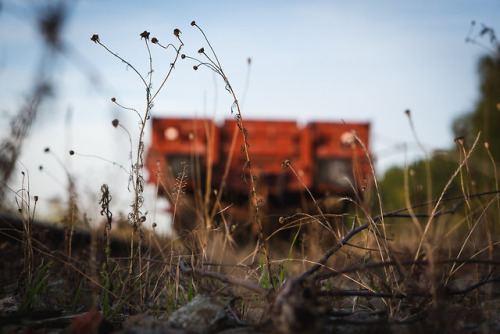  Right on track.- recently abandoned train I discovered close to where I live.