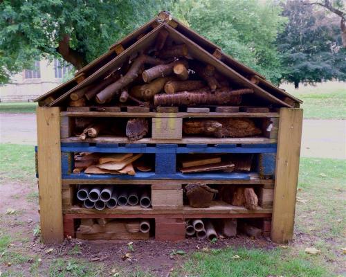 5 Star Reviews for the York Minster Bug Hotel.