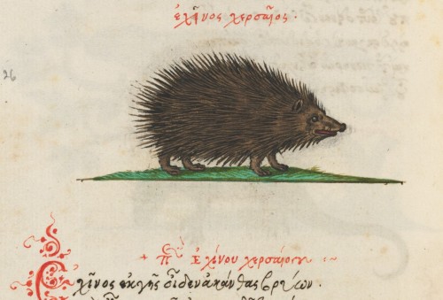 houghtonlib:Phile, Manuel, 1275-approximately 1345. Stichoi peri zōōn idiotētos : manuscript, 1565. 