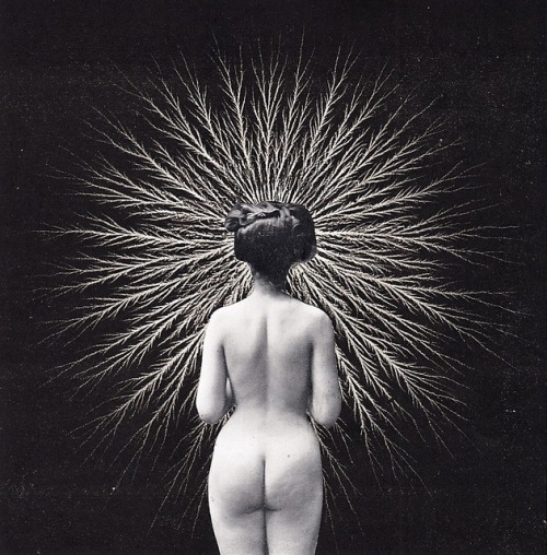 vivipiuomeno1: uncredit photo-collage