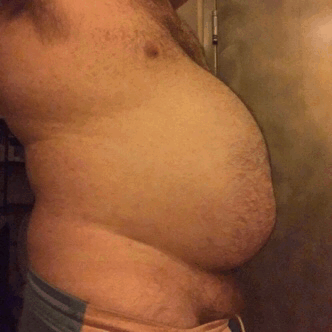 pigblimping:Softening and swelling up. Fatboy is getting so beautifully blubbery. 